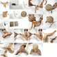 🎉 2026 Sale — Over 25100 Sold!💞 Natural Sisal Cat Scratching Ball‑Durable 🐱