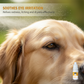 🏆 2026 Sale — Over 22,100 Sold!✨ Gentle Pet Eye Drops for Dogs & Cats 👁️