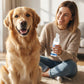 📢 2026 Sale — Over 20,800 Sold!⏰ Pet Oral‑Care Foam Tartar Remover ✨