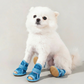 🎉 2026 Sale — Over 23700 Sold!💞 Lightweight Mesh Anti‑Slip Dog Boots‑Breathable 🐶