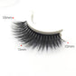 🥳2026 HOT SALE🥳💞Over 50K Sold!✨Self-Adhesive Reusable False Eyelashes – No Glue Required, Press & Wear 💕