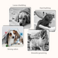 🎉 2026 Sale — Over 31600 Sold! ⏰Pet Grooming Glove Wipes｜Dual-Sided Waterless Cleaning Mittens for Dogs & Cats ✨