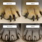 🎉 2026 Sale — Over 31500 Sold! 🐾 LED Pet Nail Clippers – Safe Trimmer for Dogs & Cats ✨