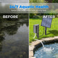 🎉 2026 Sale — Over 24600 Sold! 🐟Solar Powered Pond Aerator｜Outdoor Fish Pond Oxygen Pump with Air Stone ✨