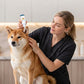 🎉 2026 Sale — Over 22800 Sold!💞 Gentle Pet Ear Cleaner Solution‑Soothing 🐶